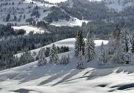 Allgäu Winterlandschaft/9553190